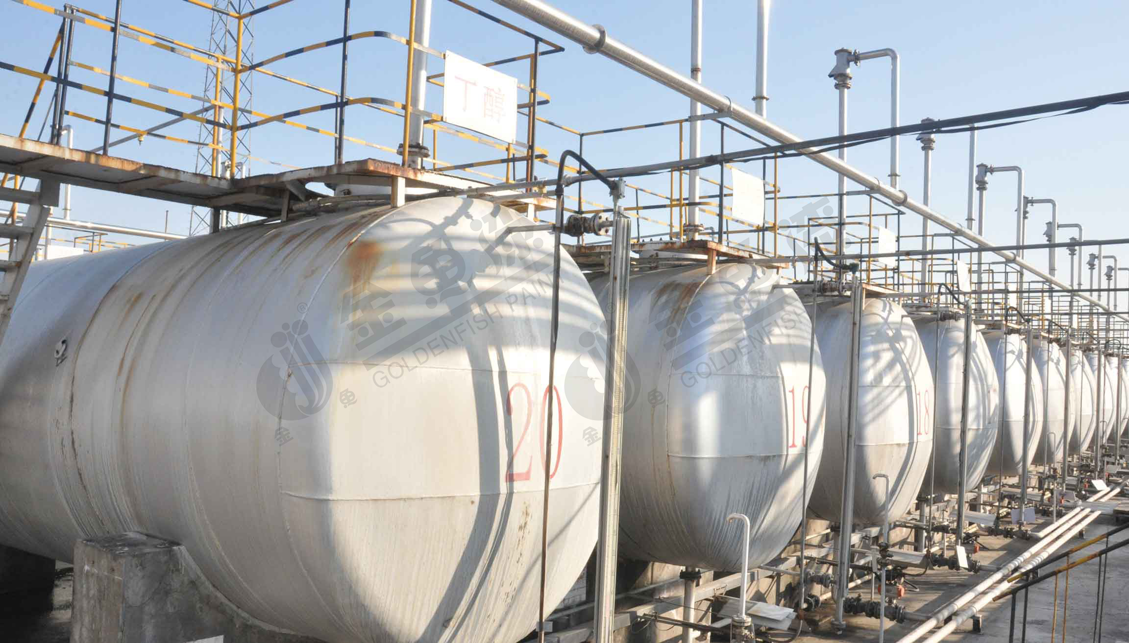 項目合作(圖5) 項目合作(圖5)